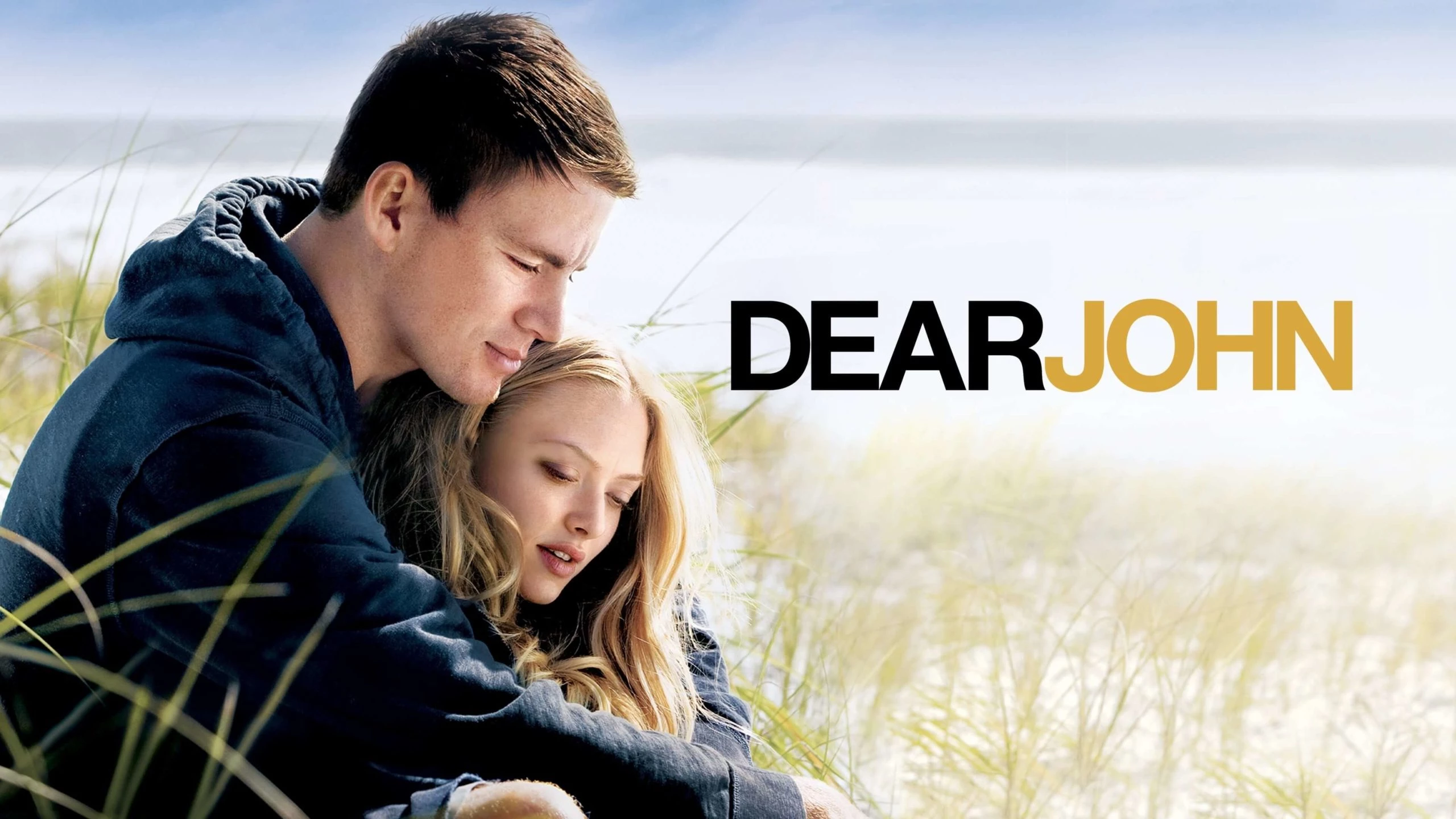 Dear john (2010)